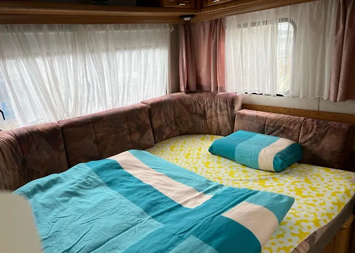 Camping Alex
